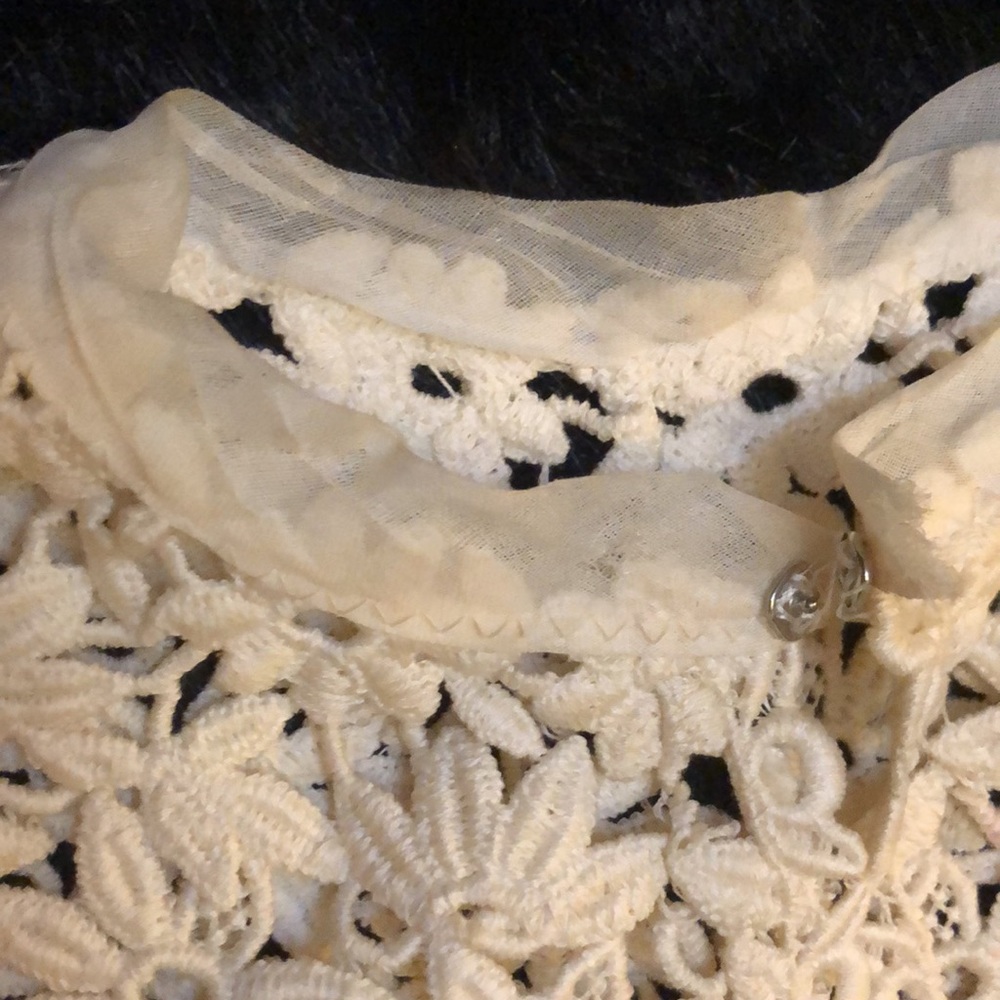 Retro vintage Victorian lace embroidered floral detachable collar - Picture 7 of 8